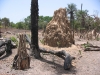 2005-04senegal20045